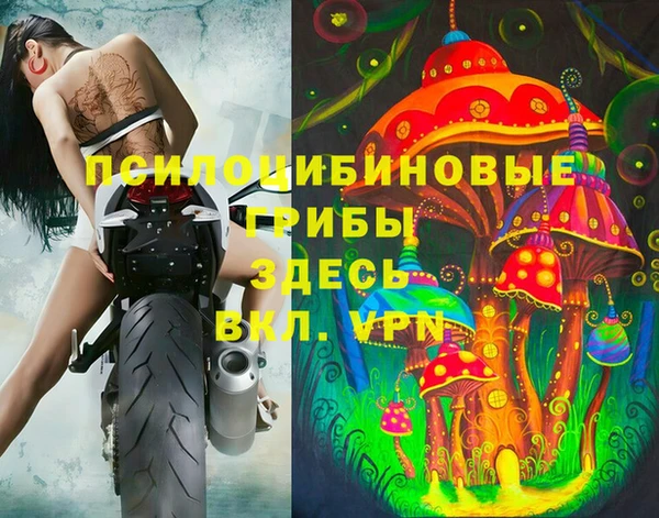 дмт Сафоново