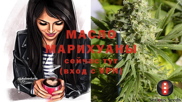 винт Сатка