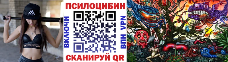 Купить  Северская  Псилоцибиновые грибы прущие грибы 