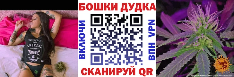 Бошки Шишки семена  Купить  Северская 